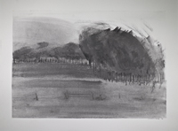 An abstract, charcoal drawing of a grove of trees.
